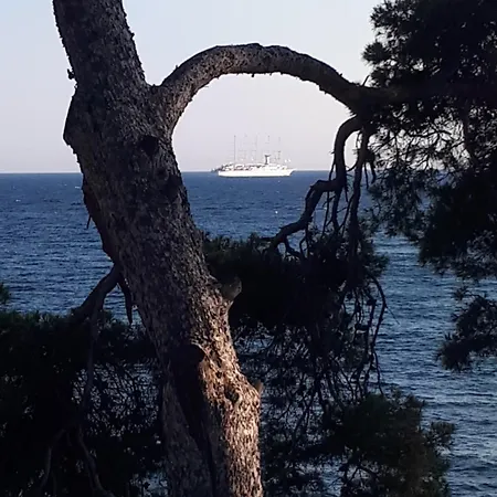 Apartment Bandol, T3, Les Pieds Dans L'eau, Presqu'ile Du Capelan